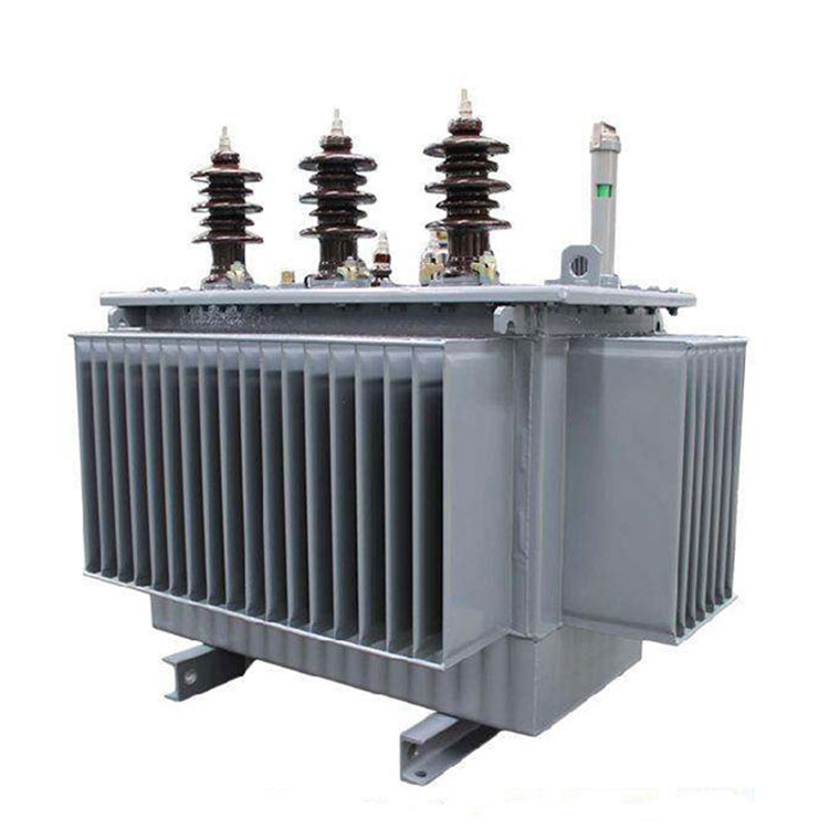 10 Trasformatore da palo 0,4 Kv 30 Kva